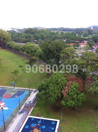 Jurong West Street 91 thumbnail photo